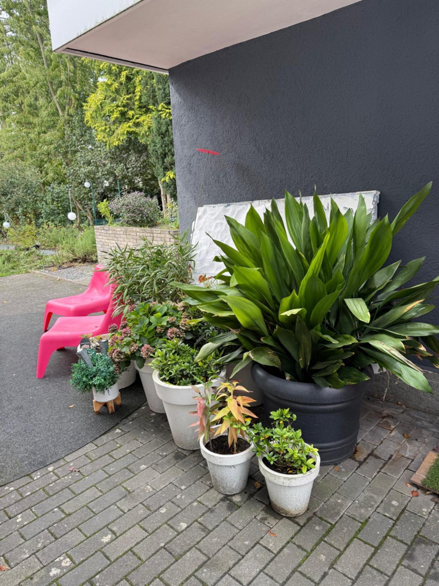 Modernes 1 Zimmerapartment Nahe Frankfurt Am Main ฮอยเซนชตามม์ ภายนอก รูปภาพ